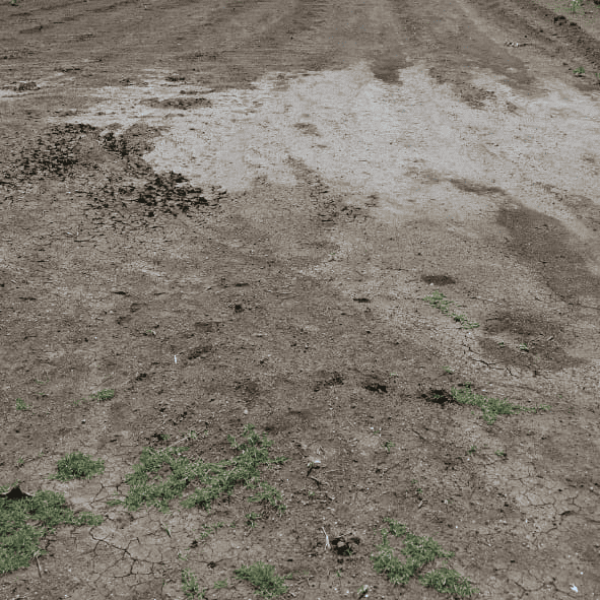 AGRICULTURE LAND KHADI MACHINE CHOWK