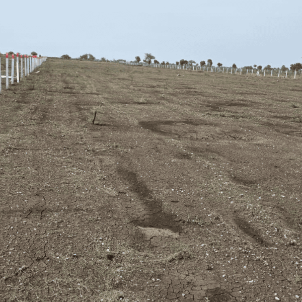 agriculture land near purandar road